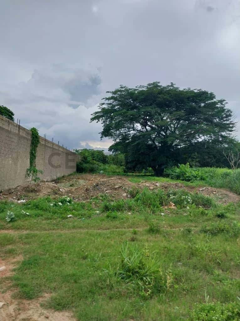 Vista 1