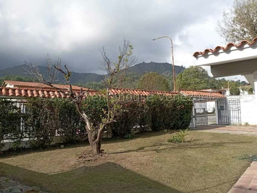 Vista 24