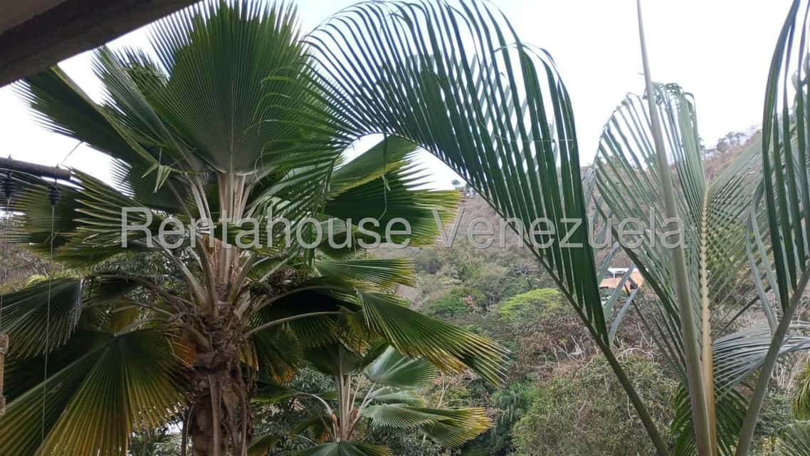 View 24