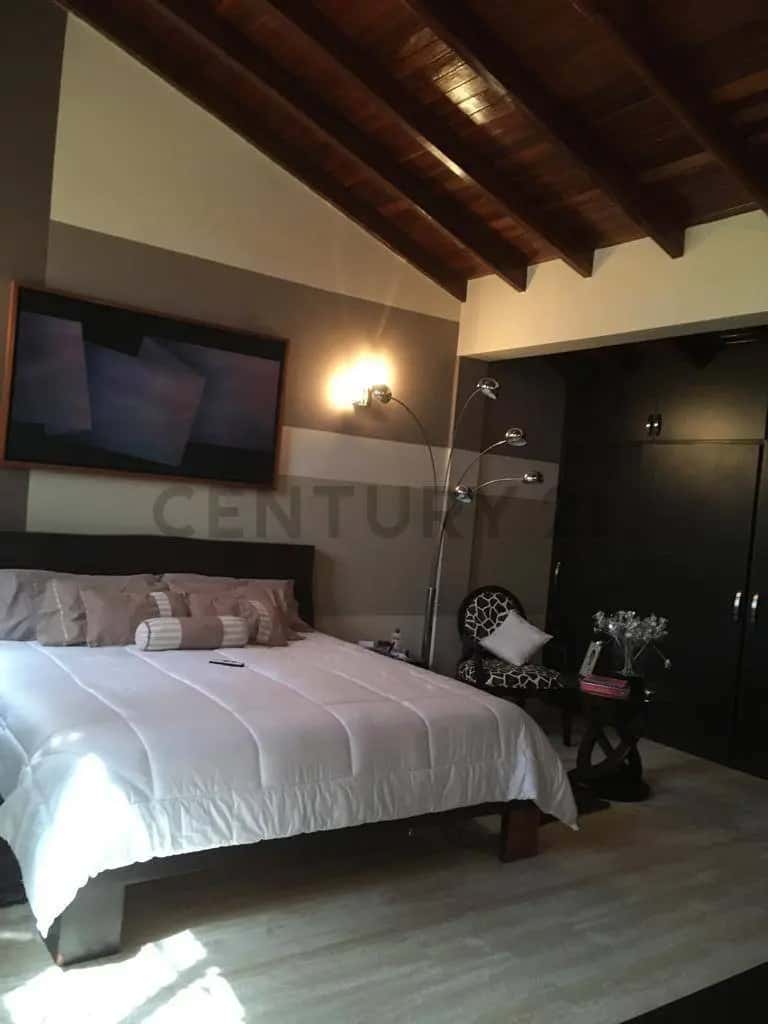 Vista 6