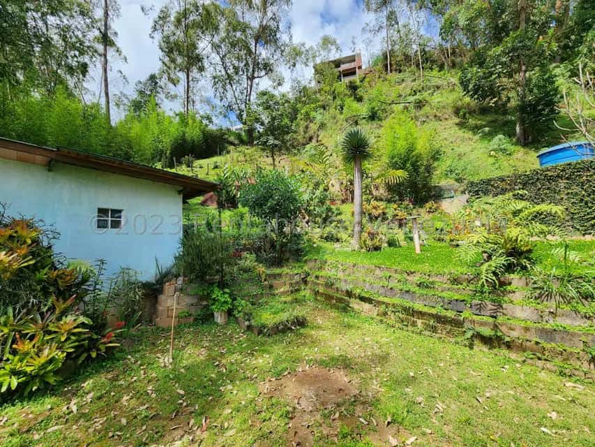 View 34