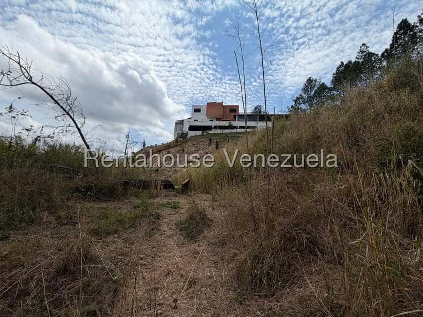 Vista 11