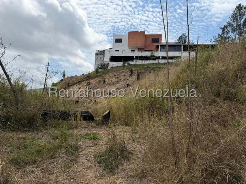 Vista 12