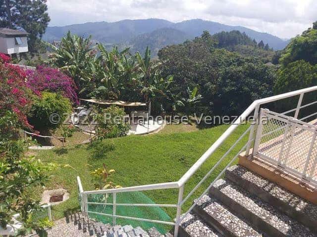 View 37