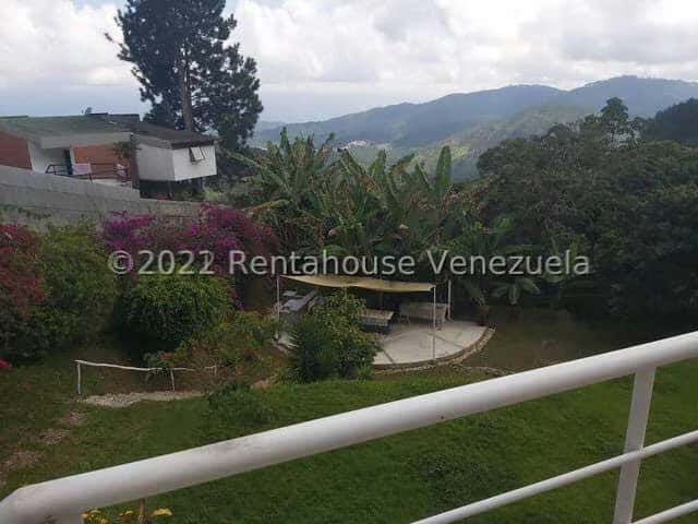 View 38
