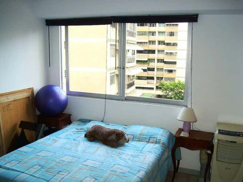 View 31