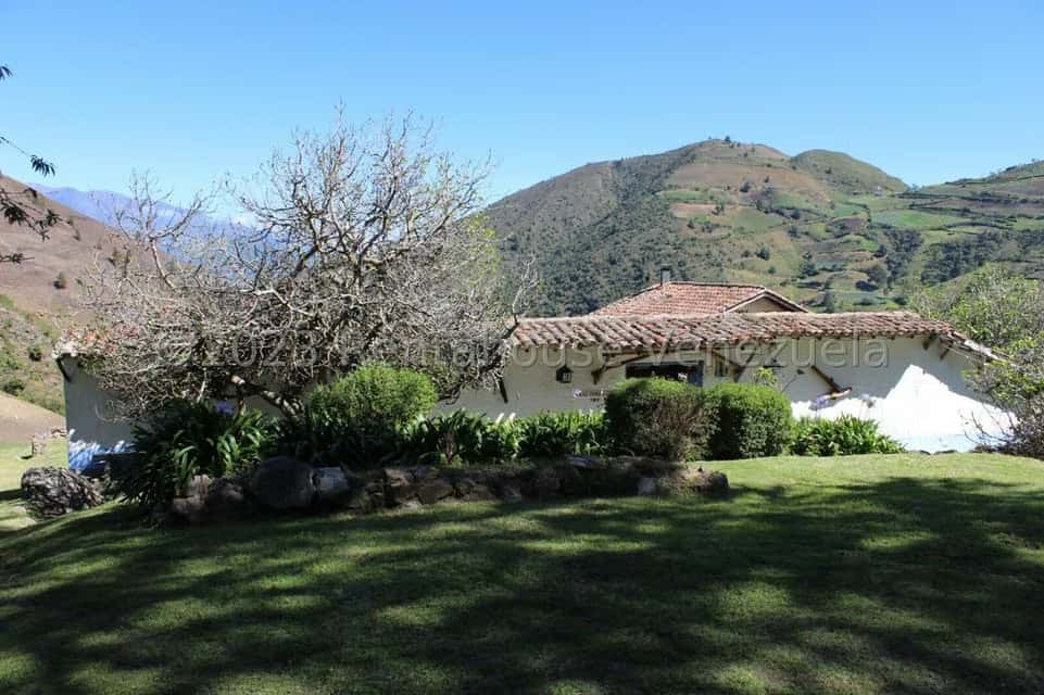 View 11