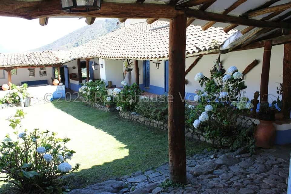 View 24