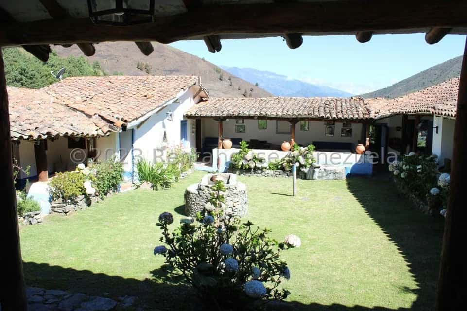View 25