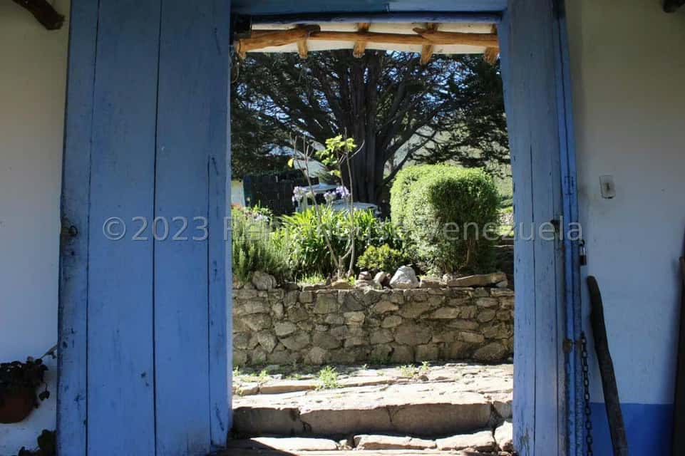 View 27