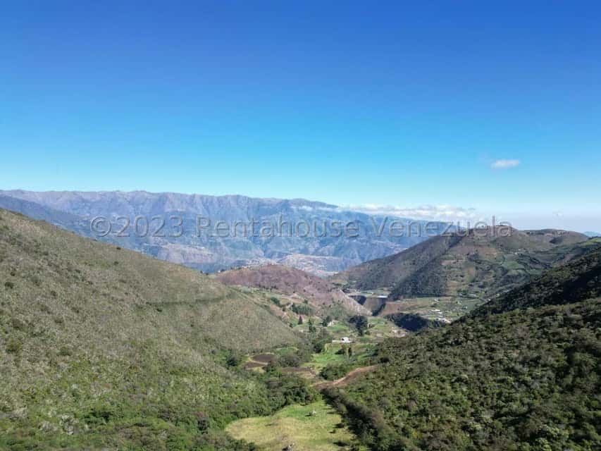 View 5