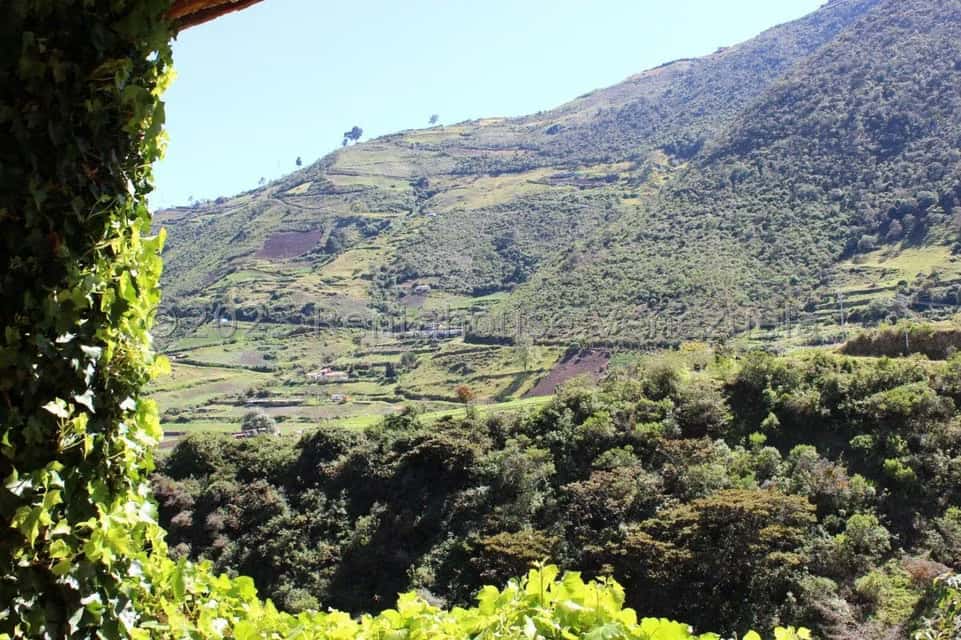 View 58