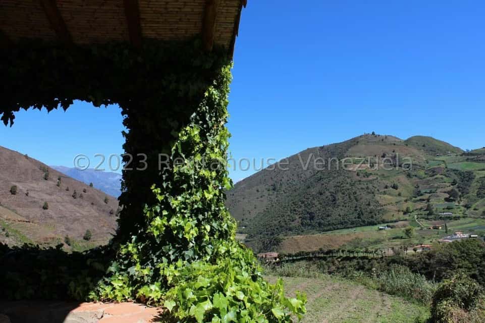 View 59
