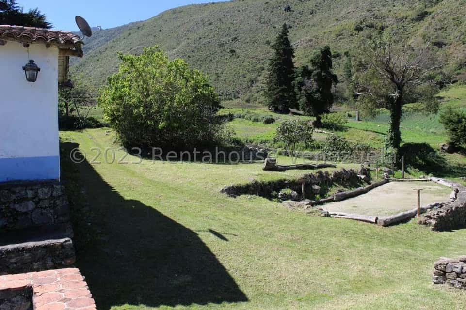 View 66