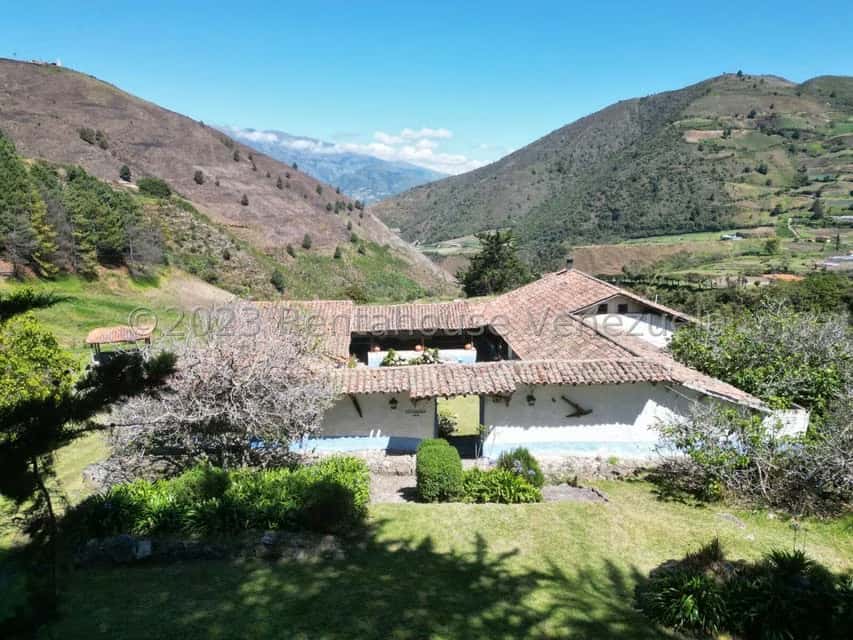 View 8