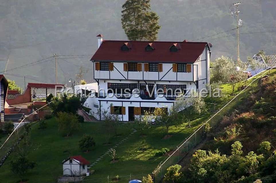 View 1