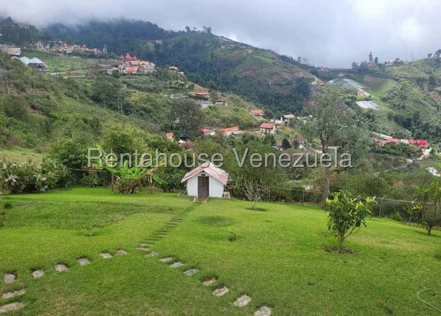 View 9