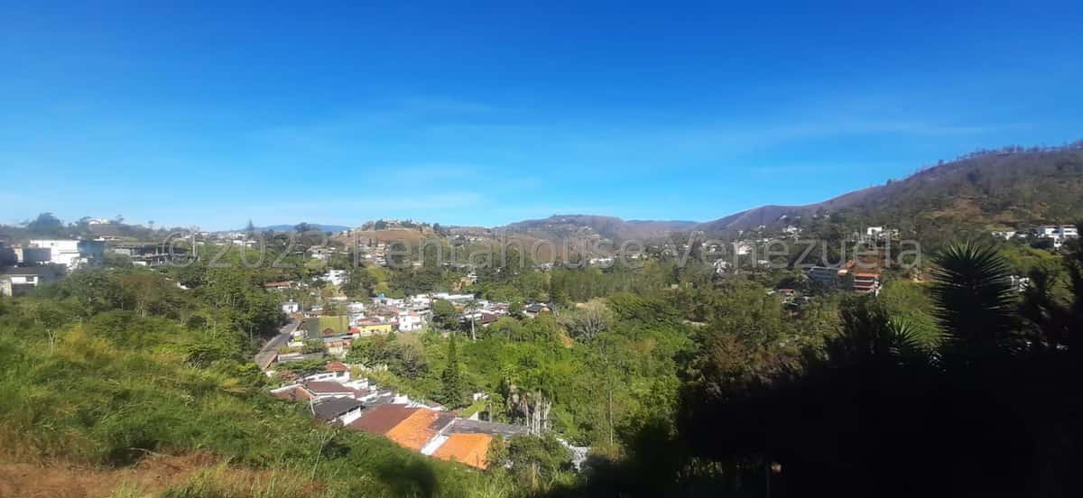 View 31
