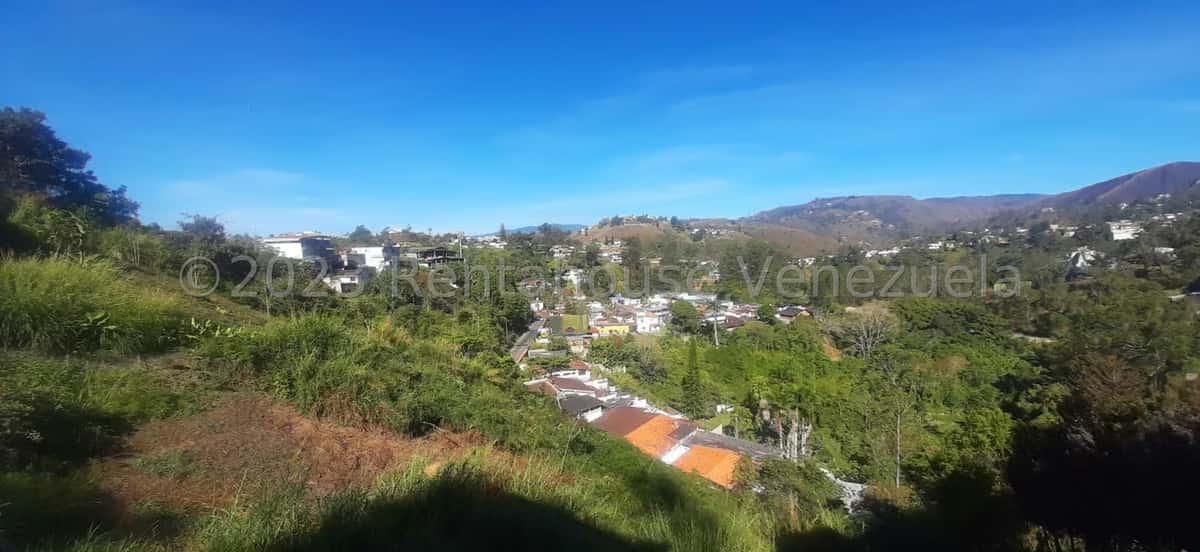 View 32