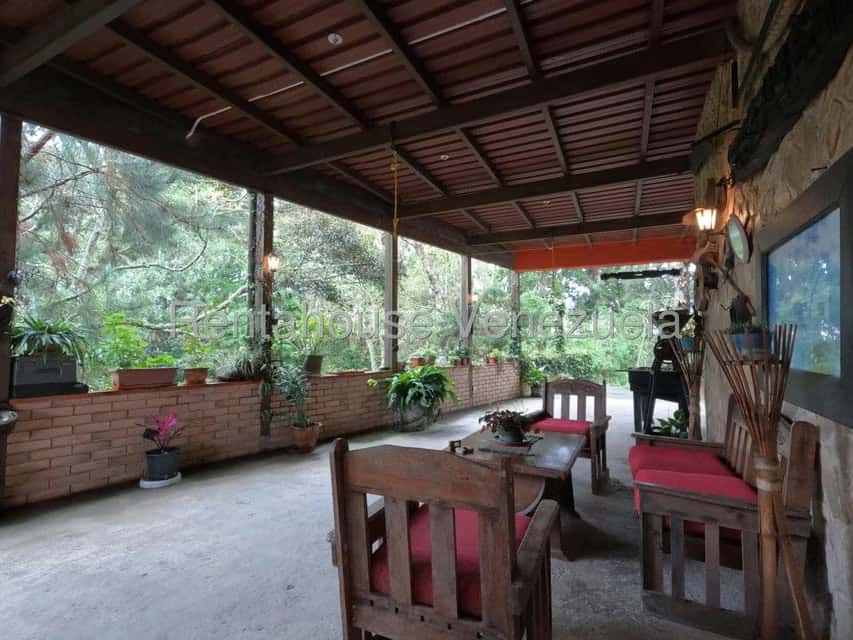 Vista 24