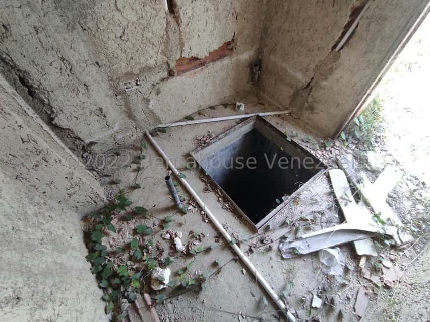Vista 50