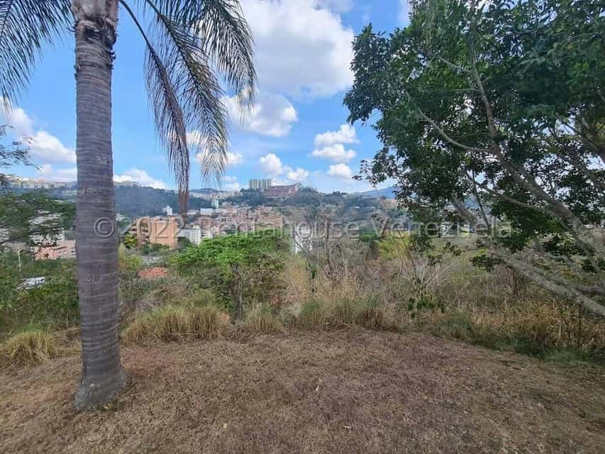 Vista 11
