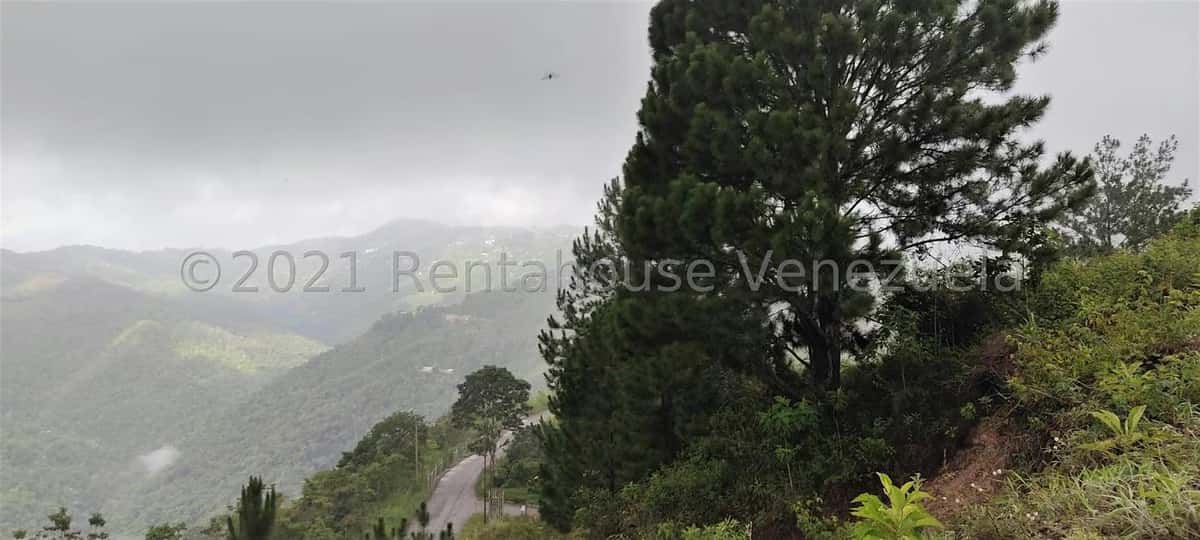 View 2