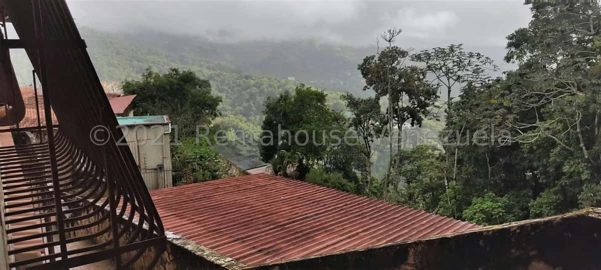 View 19