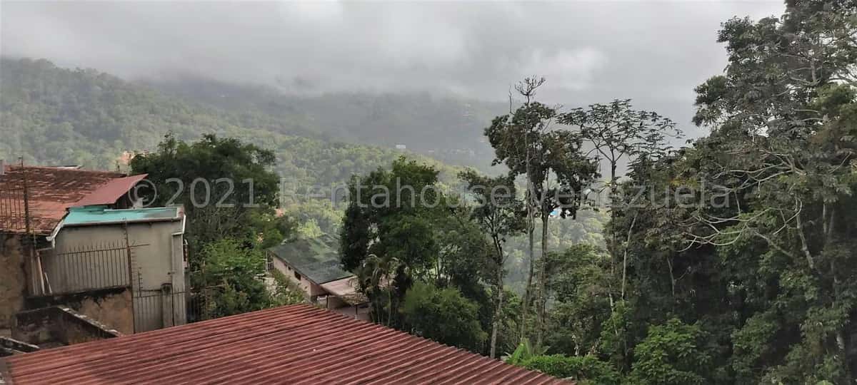 View 20