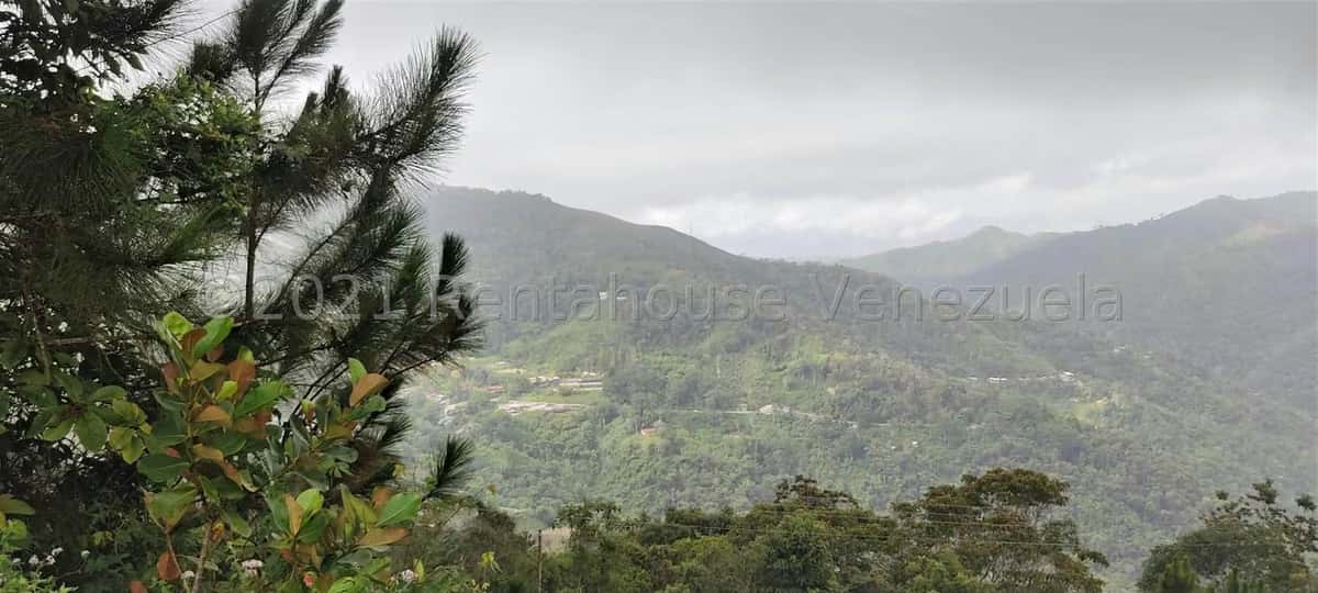 View 4