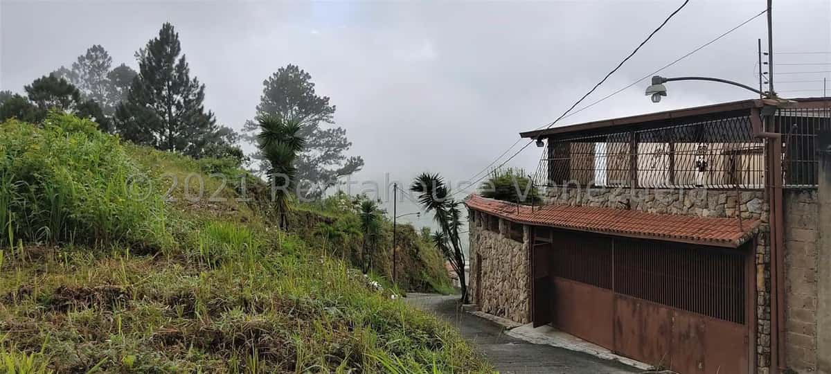 View 49