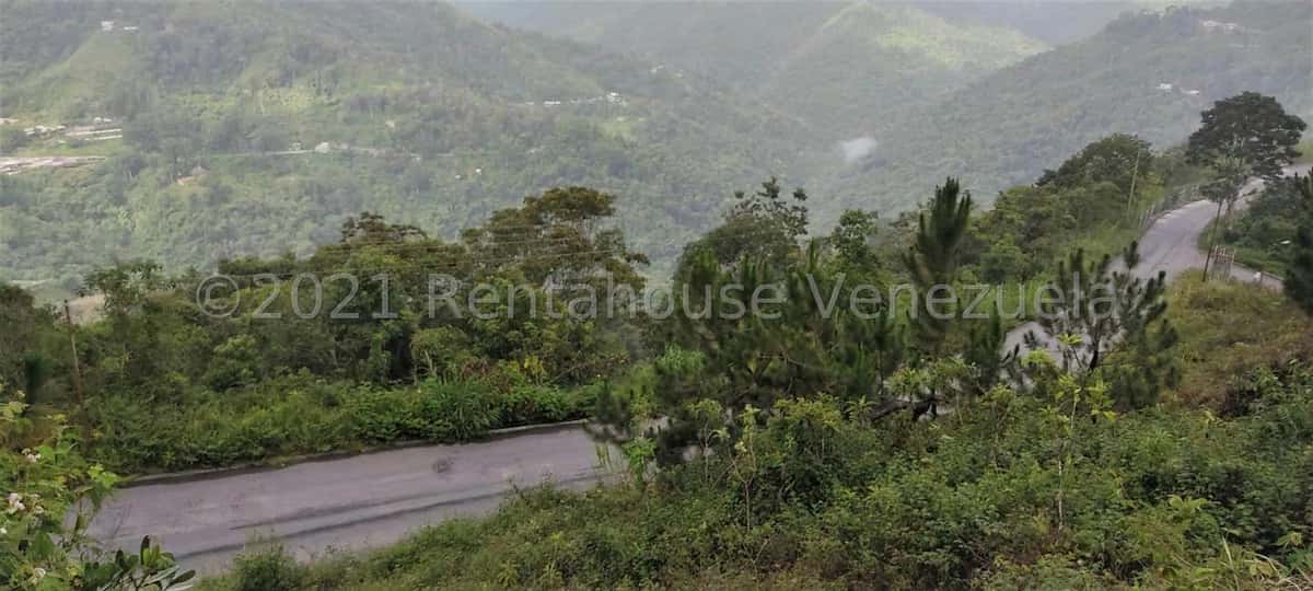View 51