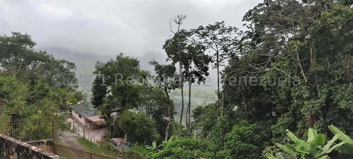 View 54