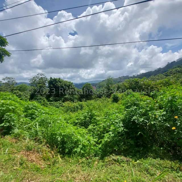 View 6