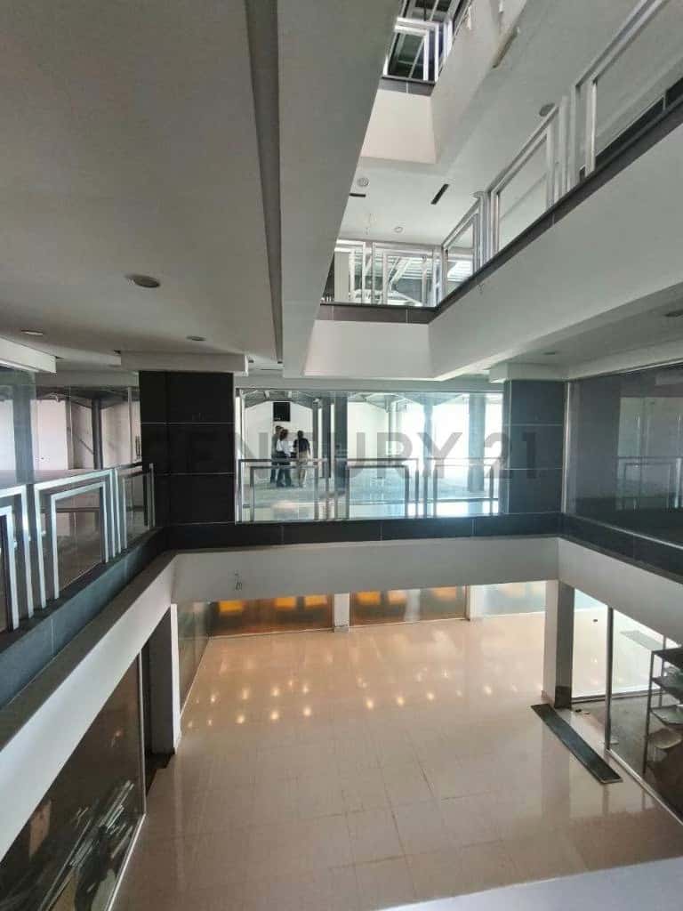 View 20