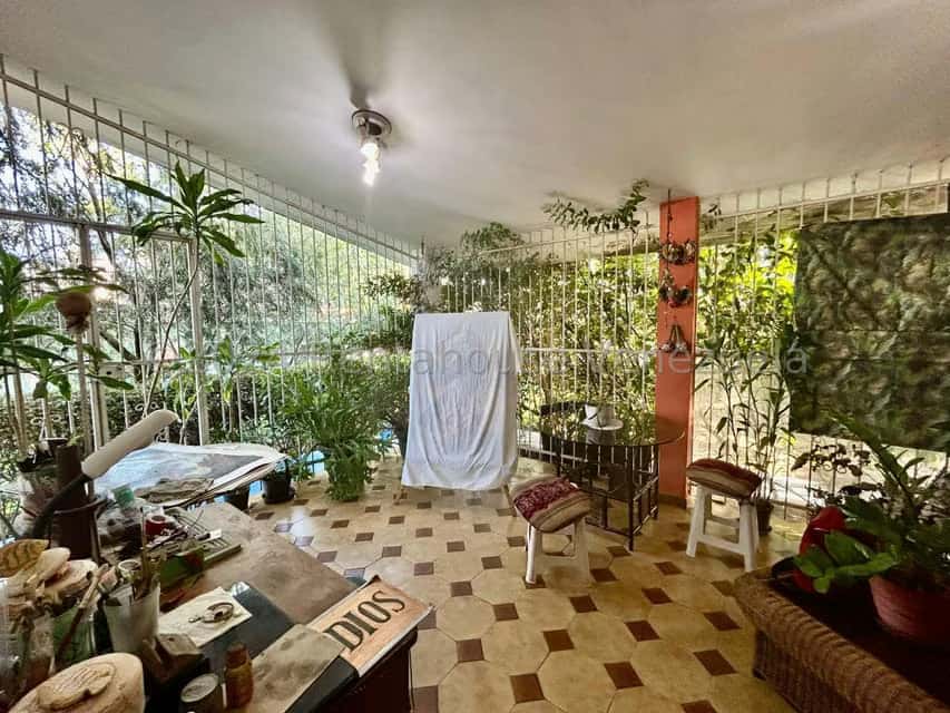 Vista 51