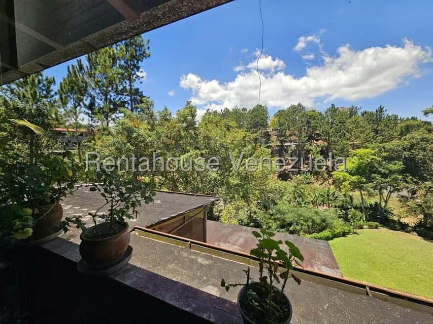 View 24