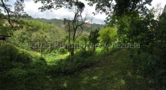 View 21