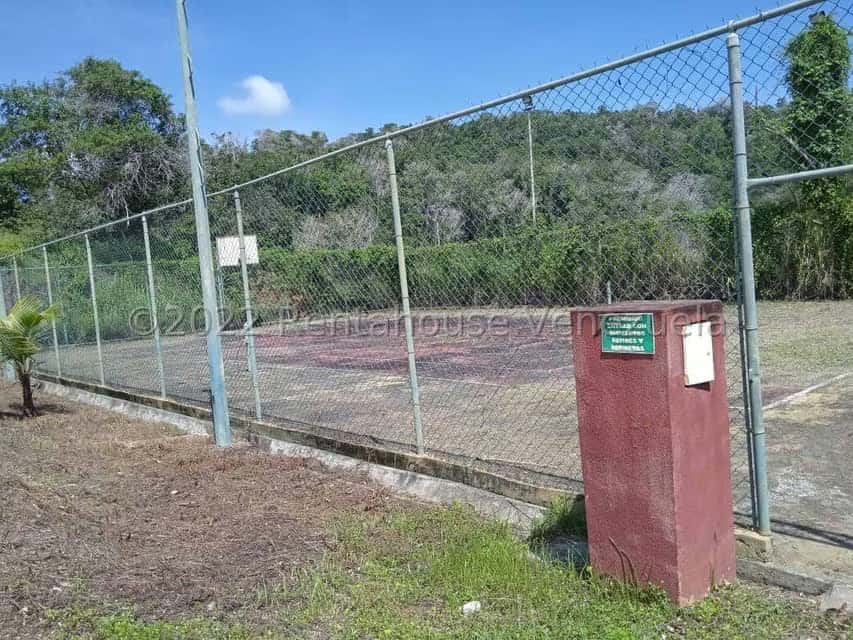 Vista 19