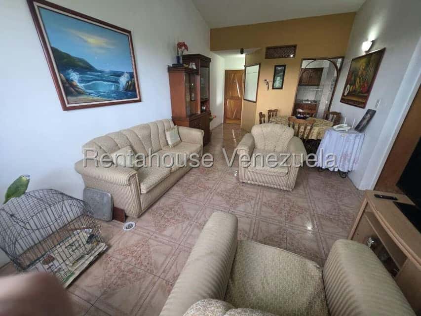 Vista 5