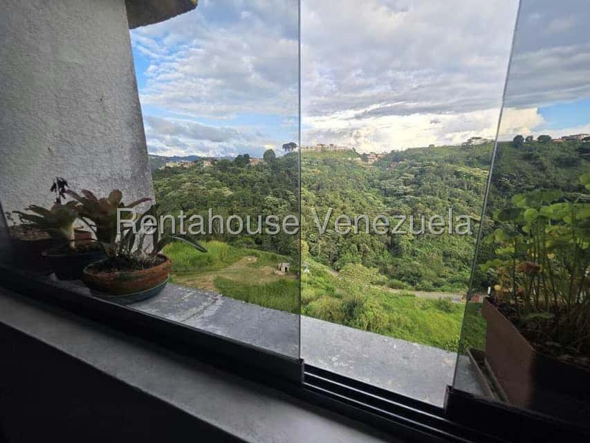 Vista 7