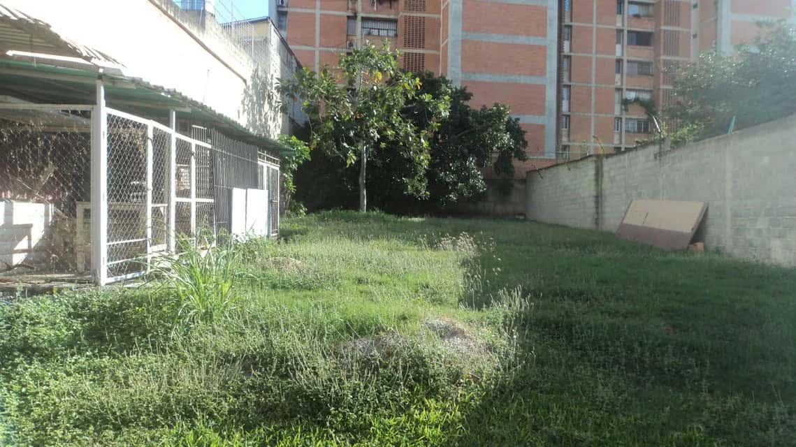 Vista 11