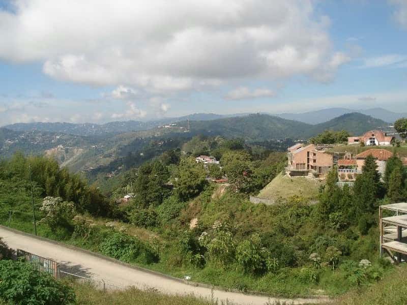 View 15