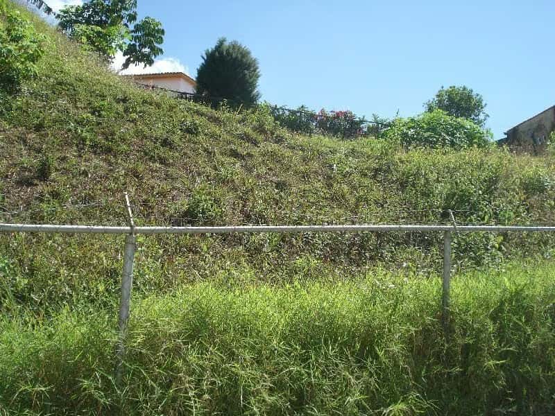 View 22