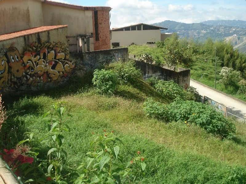 View 24