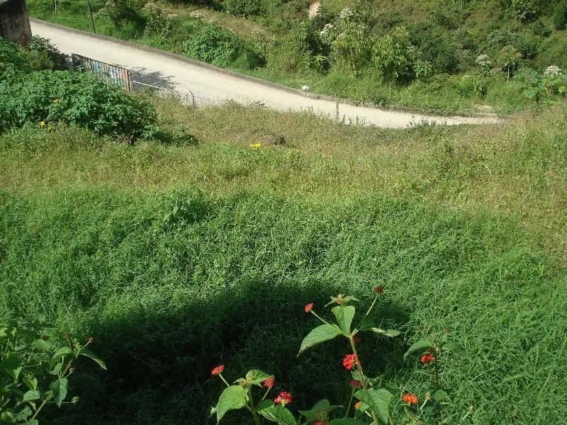 View 25