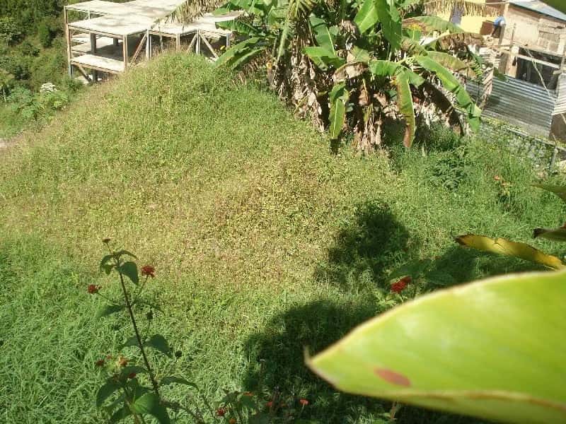 View 26