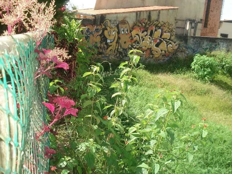 View 27