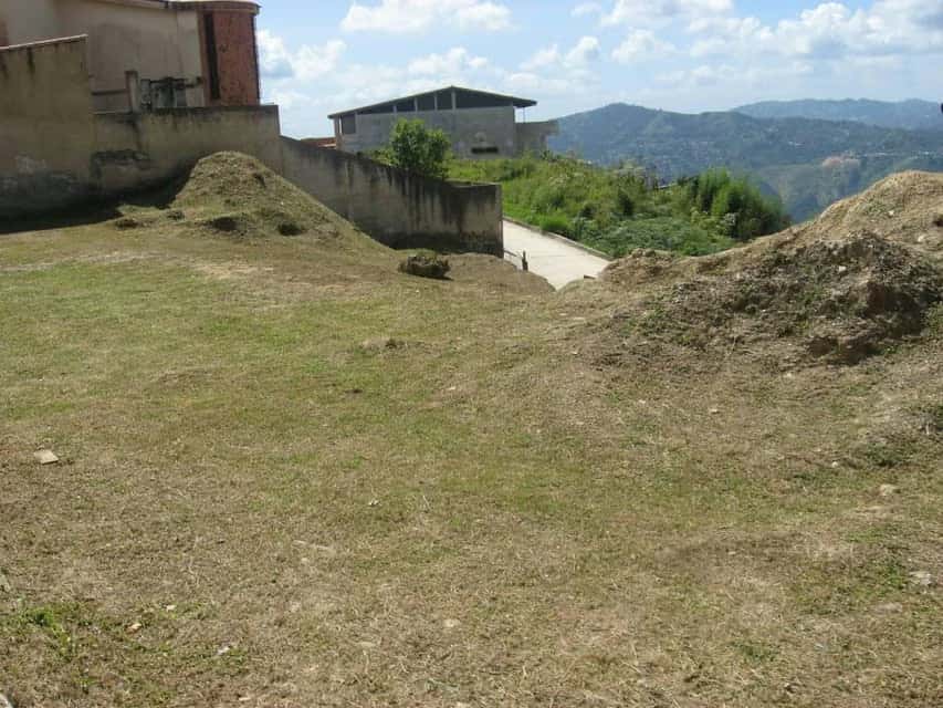 View 8