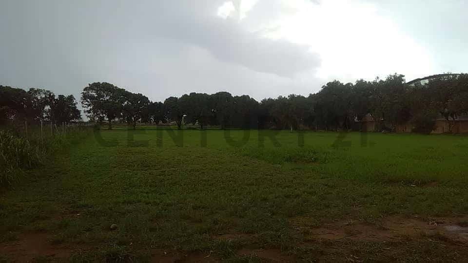Vista 4